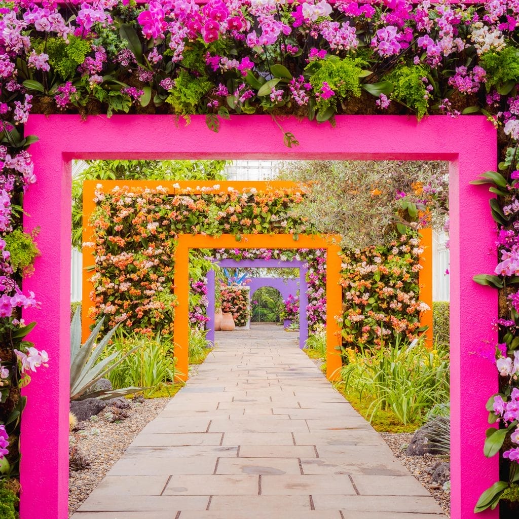 Best Things To Do in NYC This March