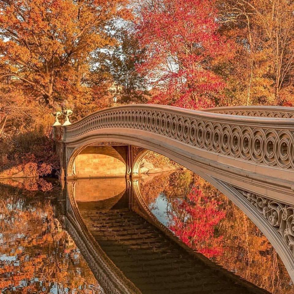 Bow Bridge | NYC