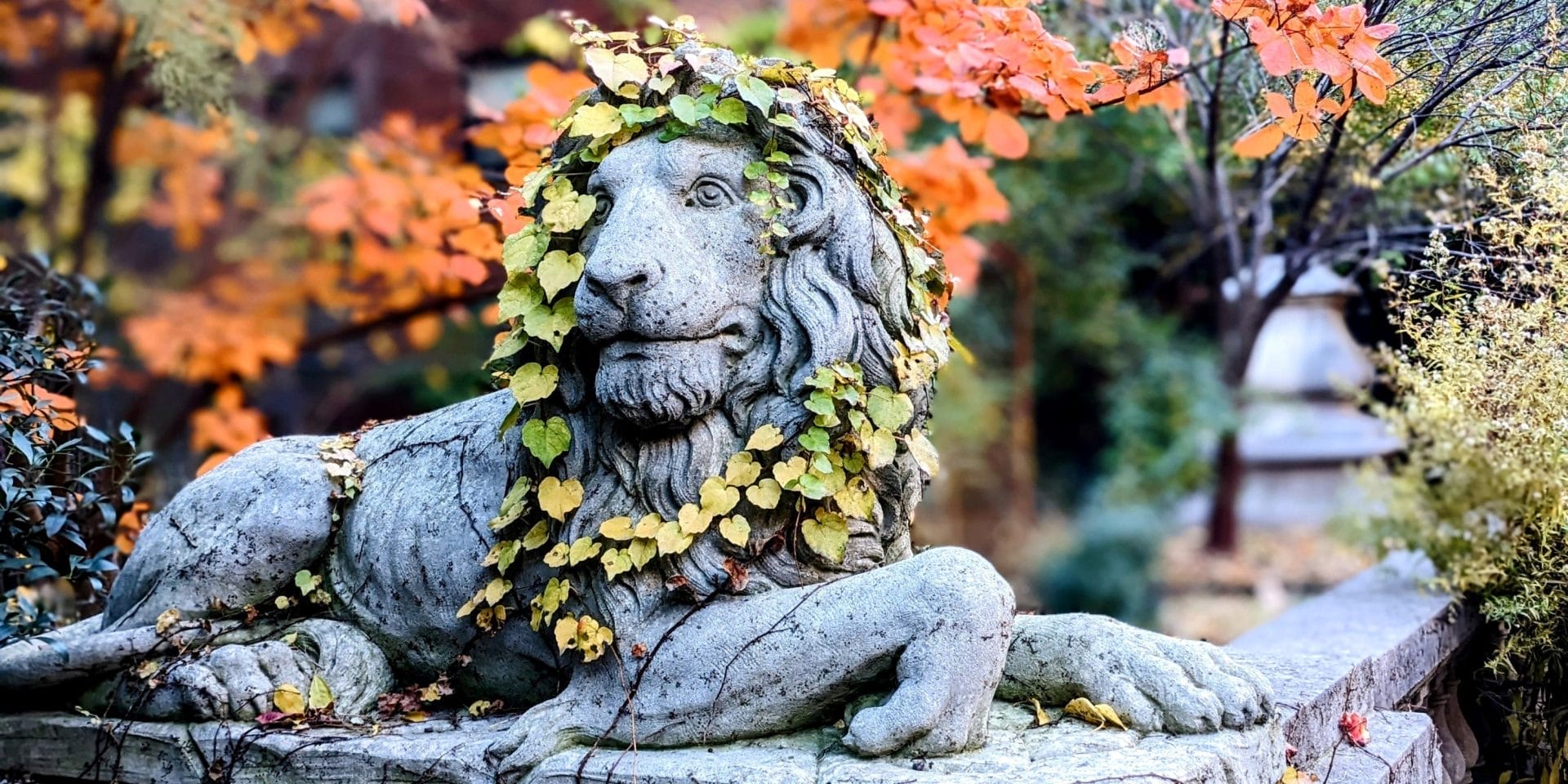 Elizabeth Street Garden | Hidden Spots