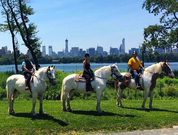 horse riding | Best ways to explore