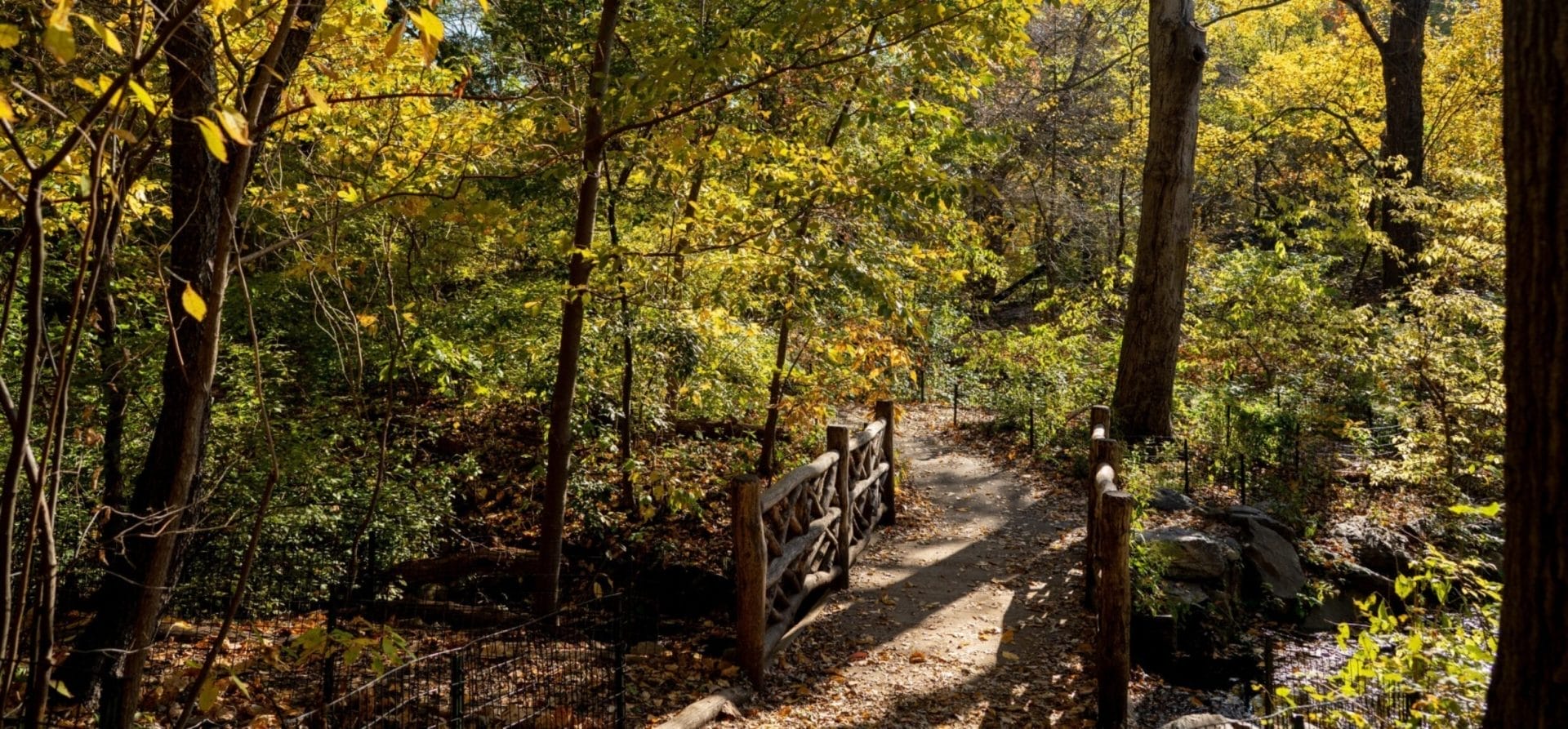 The Ramble