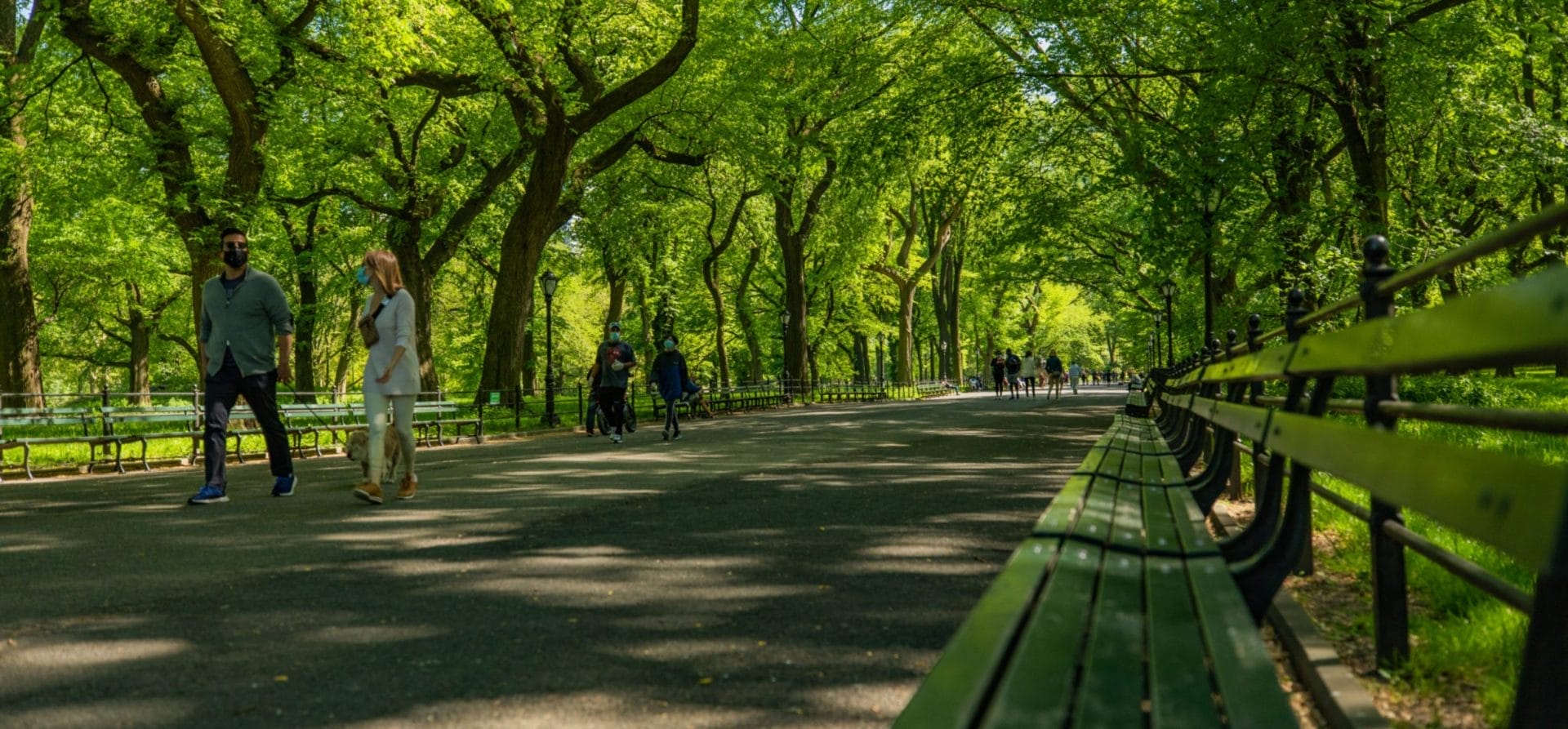 The Central Park Mall | Underrated Spots in Central Park