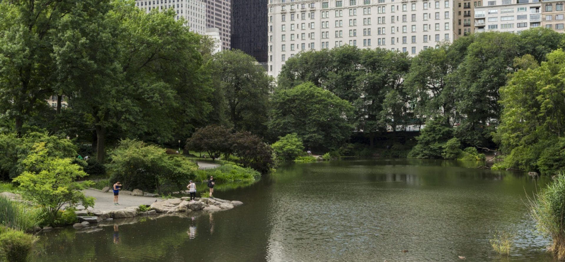 The Pond | Underrated Spots in Central Park