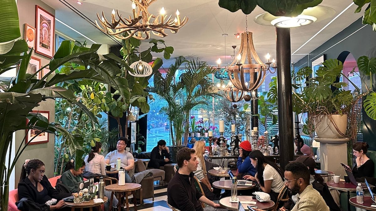 Café-Flor- Remote Work & Studying