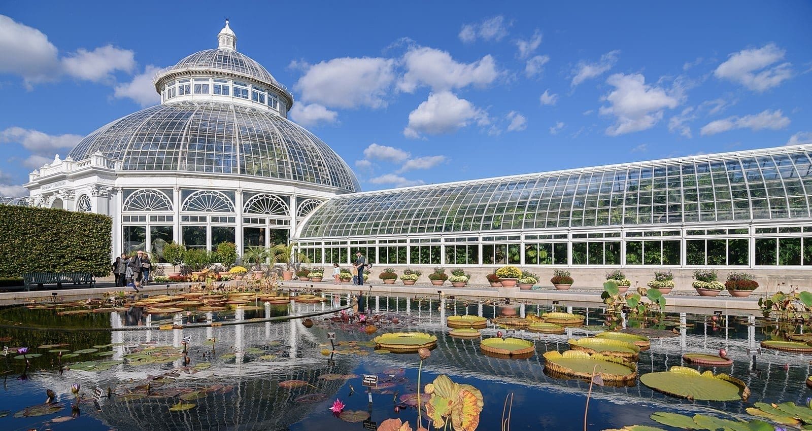 The New York Botanical Garden | Must-Visit