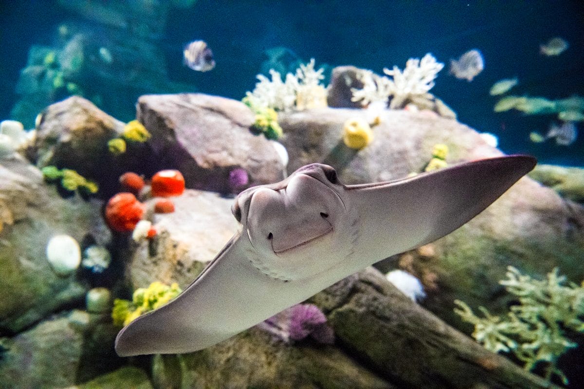 NYC Aquarium Coney Island