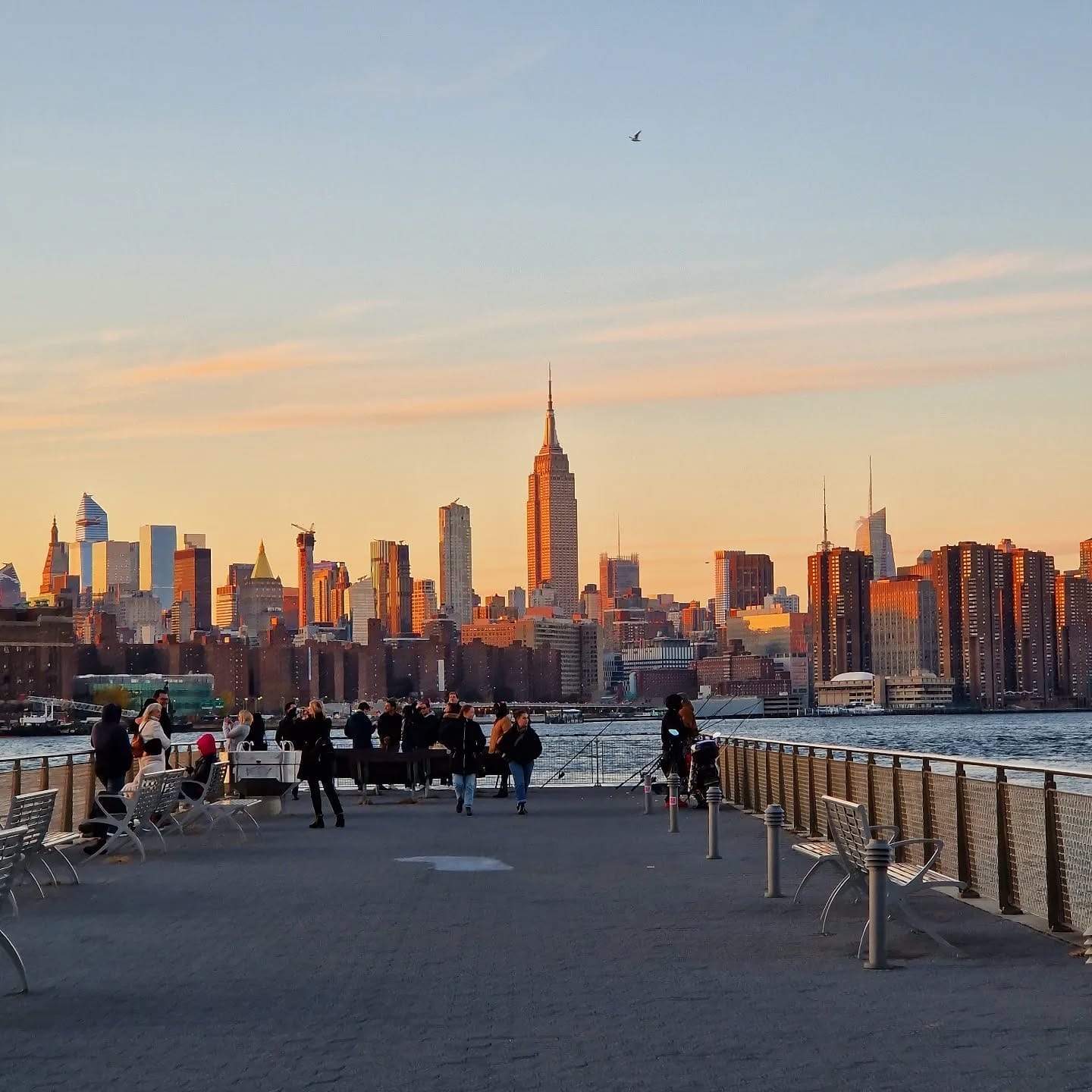 Waterfront Views in Brooklyn