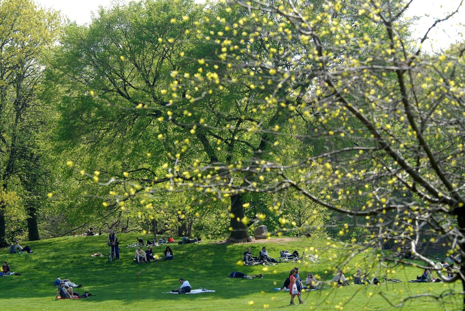 Prospect Park