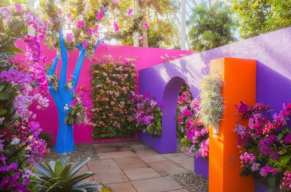 Easter Sunday at the New York : Orchid Show