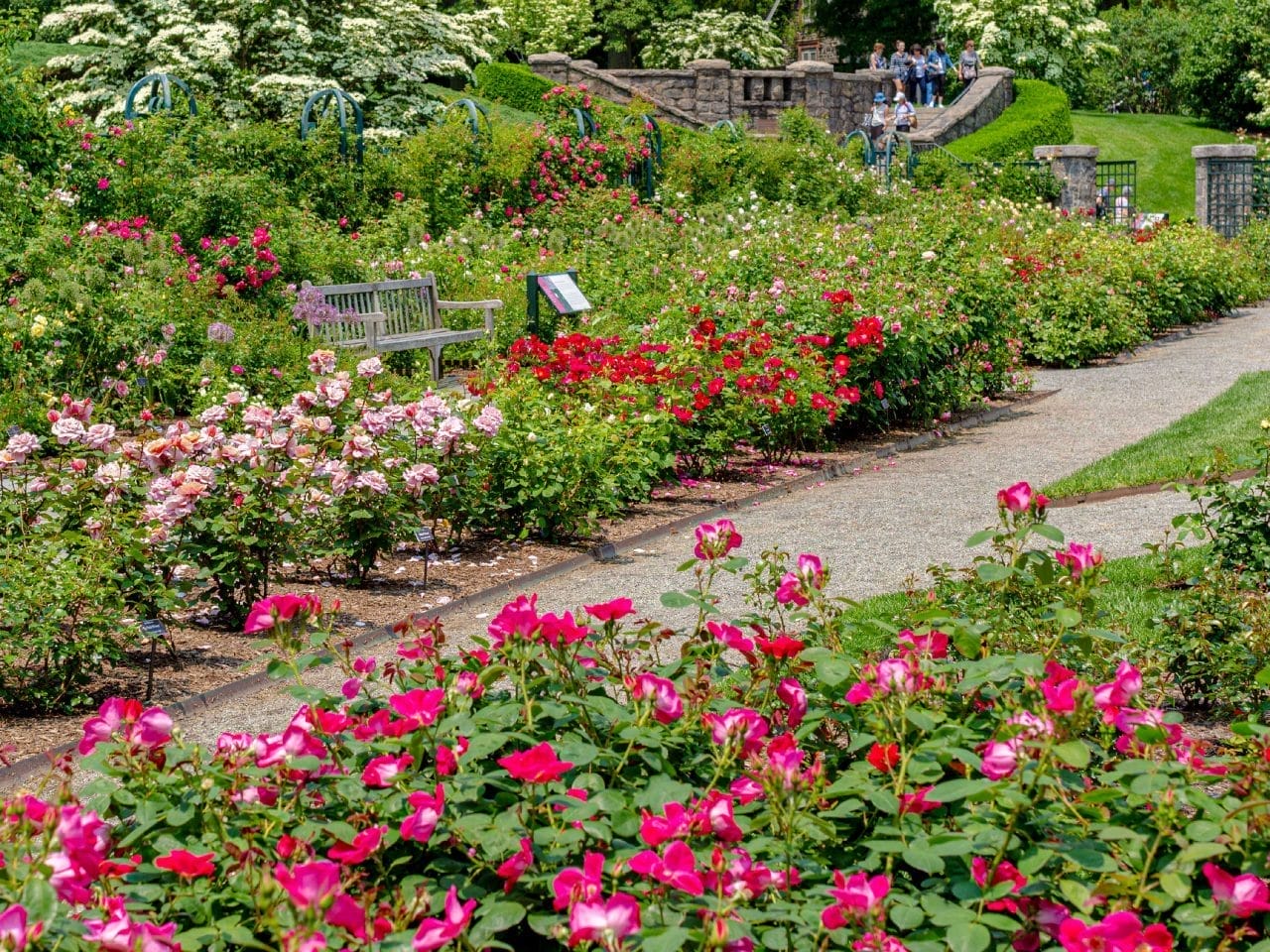 Easter Sunday at the New York : The Rose Garden