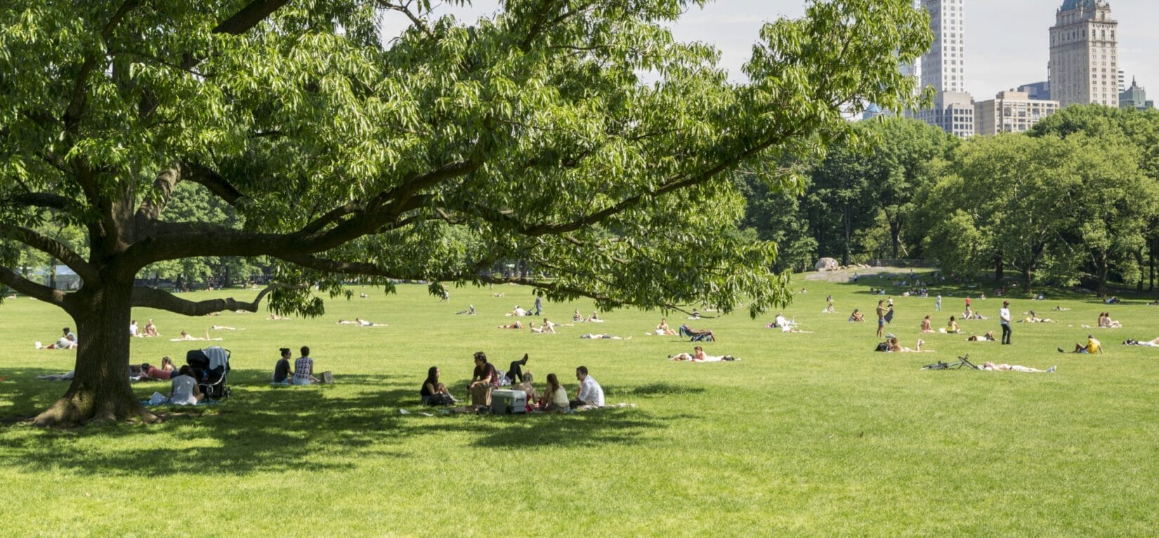 Park