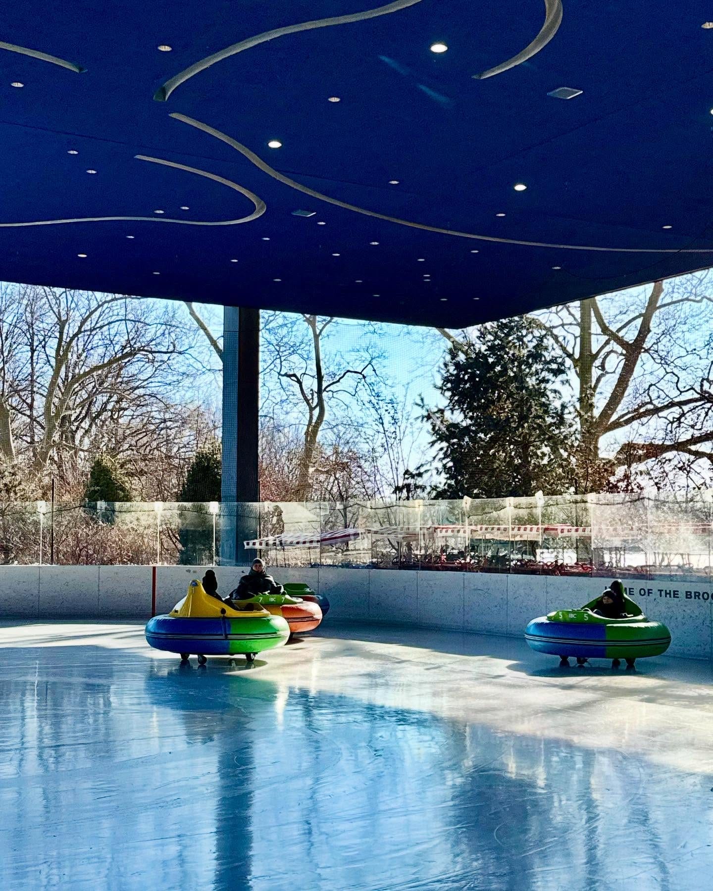 NYC Winter Activities : Ride Bumper Cars on Ice