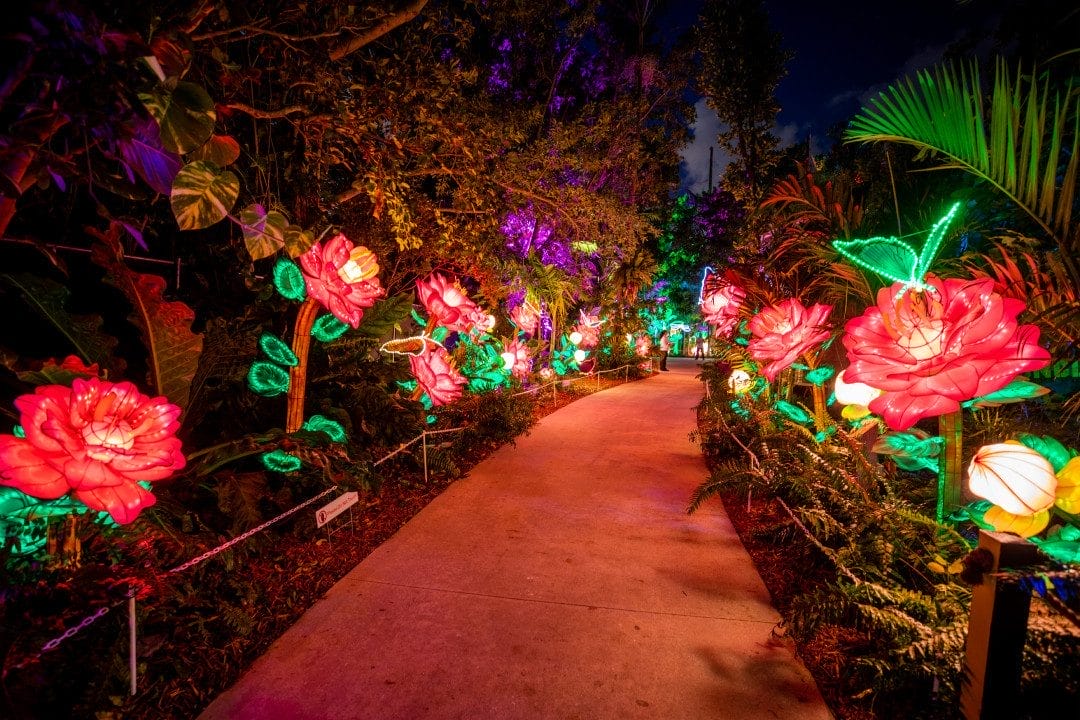 Stroll Through Luminosa: A Festival of Lights