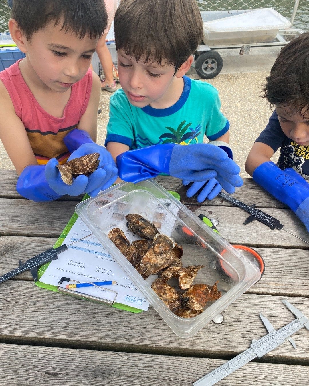 Mother’s Day with toddlers in NYC