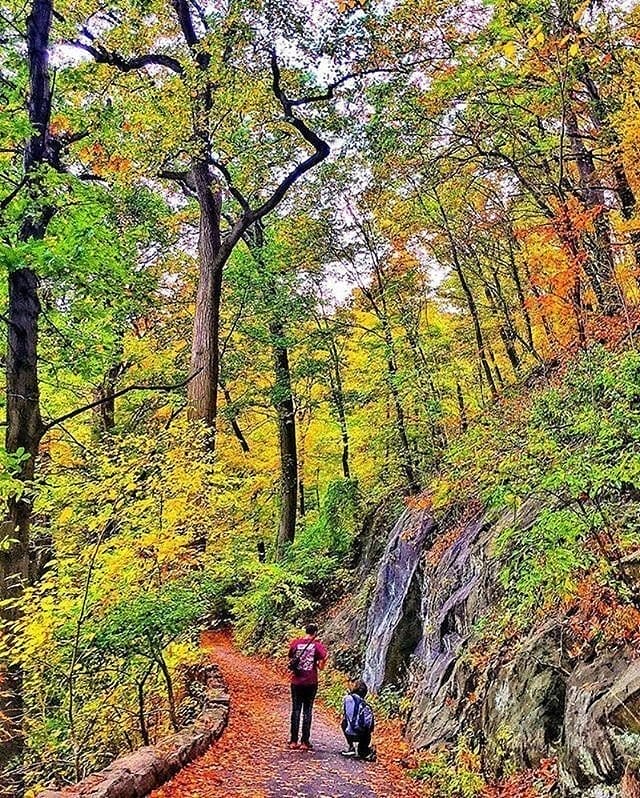 Father's Day Forest Hike with NYC Parks